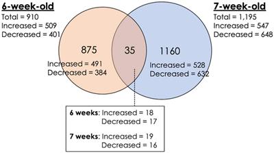 Insights Into Transcriptome Profiles Associated With Wooden Breast Myopathy in Broilers Slaughtered at the Age of 6 or 7 Weeks